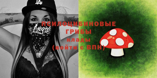 ПСИЛОЦИБИНОВЫЕ ГРИБЫ Балахна